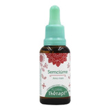 Floral Therapi Sem ciume
