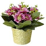Flores Com Vaso Sisal
