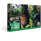 Floresta Amazonica 