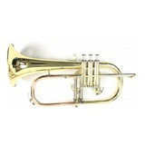 Flugelhorn Dasons Laqueado Sib