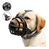 Focinheira Cachorro Kruuse Buster