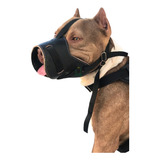 Focinheira Para Cachorros Raca