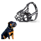 Focinheira Rottweiler Cachorro Grande