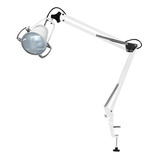 Foco Cirurgico De Mesa Veterinário  Clinica  Equipamento