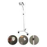 Foco Clínico Hospitalar Ginecológico Com Lâmpada 6w Led