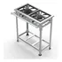 Fogão Industrial 2 Bocas 30x30 P5 Baixa Pressão Em Aço Inox