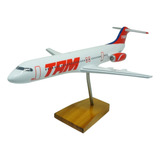 Fokker 100 Tam 20cm ( Deriva Vermelha )