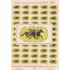 Folha Inteira Selo 600 Jockey Club Brasileiro 100 Anos