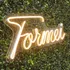 Formei Neon Led Decoração Festas Luminária Acrílico Capelo
