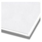 Forro Mineral Antaris Tegular