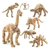 Fossil De Dinossauros Modelo