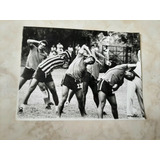 Foto - Cao Carlos Roberto E Outros - Botafogo - 1970