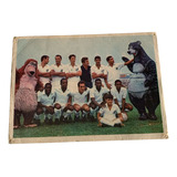 Foto Pele Antiga