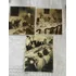 Fotografias  Eurico Dutra President E Draut Casa Pedras N559