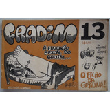 Fradim Nº 13 Editora