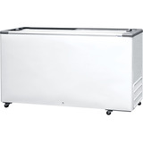 Freezer Horizontal Fricon Tampa