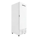 Freezer Vertical Imbera Evz21