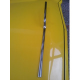 Friso Capo Galaxie Ltd