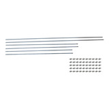 Friso Lateral Variant I
