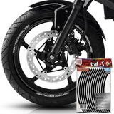 Frisos De Roda Harley