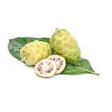 Fruta Noni A Fruta