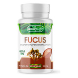 Fucus Vesiculosus 500mg 60