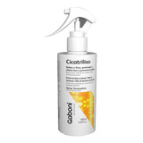Gaboni Cicatriliso Spray Termoativo