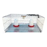 Gaiola Criadeira Para Pintinhos