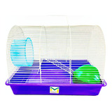 Gaiola Hamster Arqueada Com Rodinha E Casinha 40x27x30cm