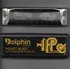 Gaita De Boca Dolphin Pocket Blues Dó Harmonica Blues Jazz