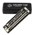 Gaita De Boca Golden Cup Afinação Em Dó  c  Harmonica 20 Vozes Diatônica Blues Jazz Com Estojo Estudo