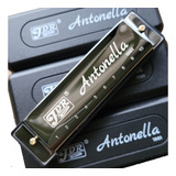 Gaita Pocket Blues Diatonica