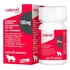 Galliprant 100mg Elanco Cães 30 Comprimidos - Imediato