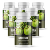 Garcinia Cambogia camboge