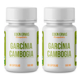 Garcinia Cambogia camboge