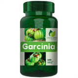 Garcinia Camboja 100