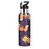 Garrafa De água Esportiva Fofa Fox Animal Space Star Com Canudo, Garrafa Térmica De Aço Inoxidável Isolada A Vácuo, à Prova De Vazamento, Sem Bpa, Para Academia, Academia, Acampamento, 600 Ml