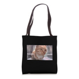 Gato Engracado Meme Side