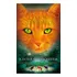 Gatos Guerreiros - A Hora Mais Sombria, De Hunter, Erin. Série Gatos Guerreiros (6), Vol. 6. Editorial Editora Wmf Martins Fontes Ltda, Capa Mole Em Português, 2014