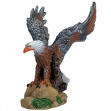 Gaviao Aguia Espanta Pombos