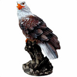 Gaviao Anti Pragas Pombos