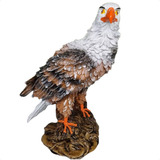 Gaviao Assusta Pombas Maritacas