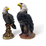 Gavioes Aguias Espanta Pombo