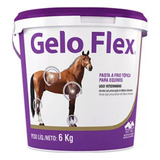 Gelo Flex Balde 6kg