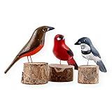 Generico Kit Passaros Madeira