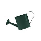 Genérico, Regador De Plantas Jardim Vaso Aluminio Verde Escuro 1,5l