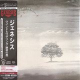 Genesis Wind
