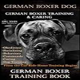 German Boxer Dog 