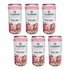 Gin Dry Tonica Toque De Morango Flores Pacote 6 Latas 269ml