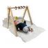 Ginásio Bebê Brinquedo Sensorial Montessori Apenas Cavalete